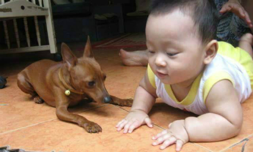 cho de tan cong khi nguoi chuyen dong va co mui la