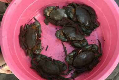 mua ho vi nhung chieu tinh vi cua nguoi ban hang