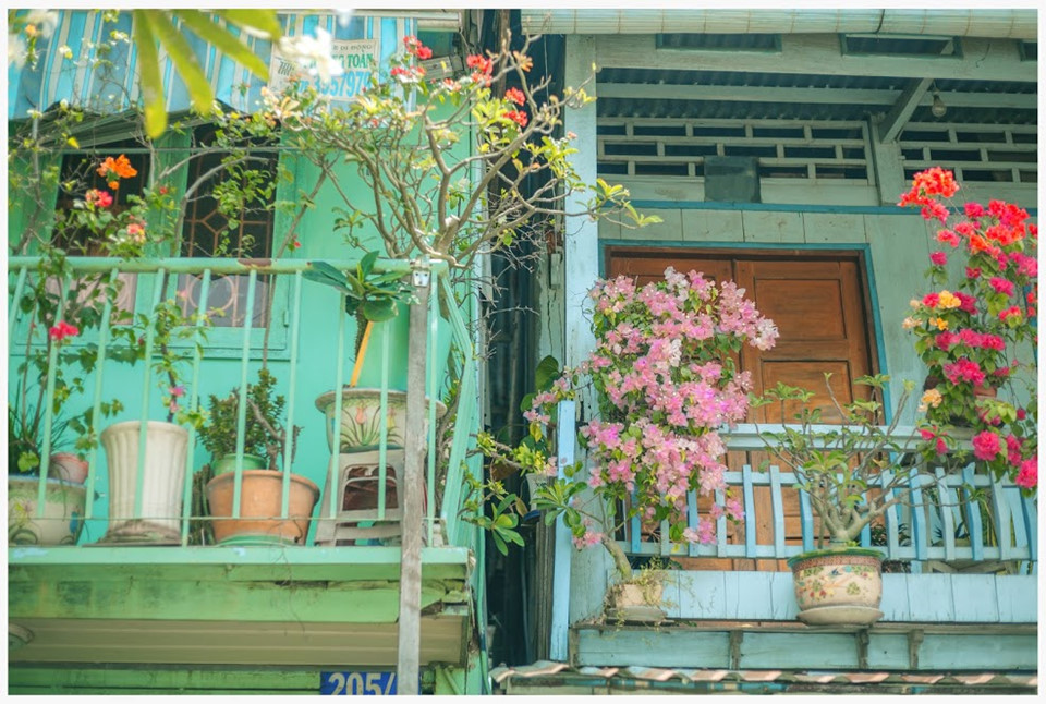 ngam ngoi nha nho tai an giang duoc xuyt xoa dep nhu tranh