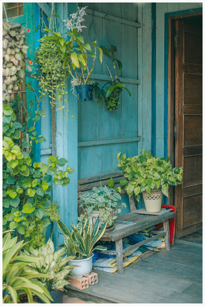 ngam ngoi nha nho tai an giang duoc xuyt xoa dep nhu tranh