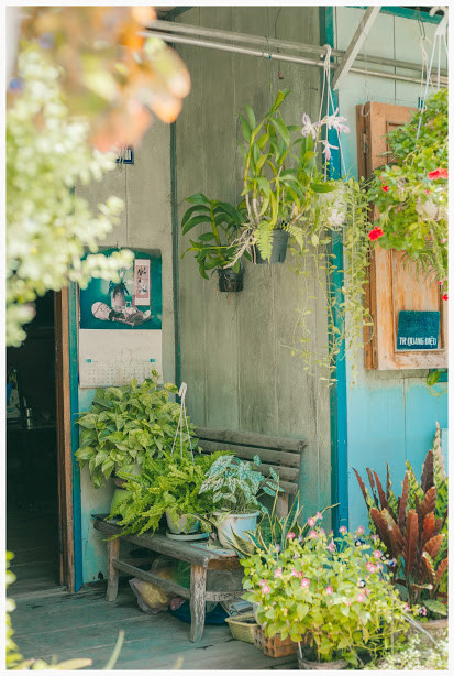 ngam ngoi nha nho tai an giang duoc xuyt xoa dep nhu tranh