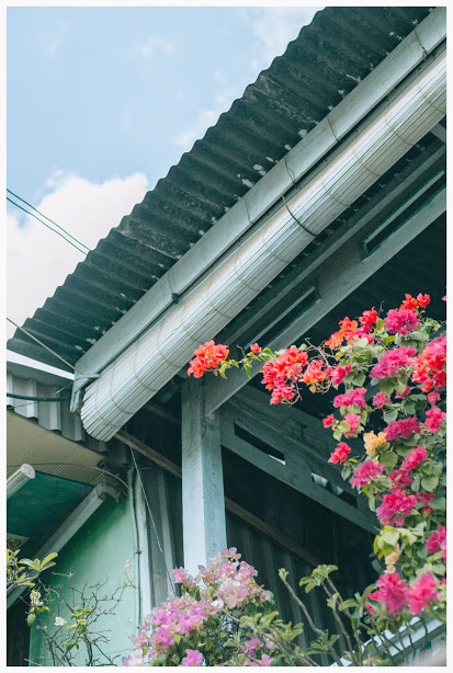 ngam ngoi nha nho tai an giang duoc xuyt xoa dep nhu tranh