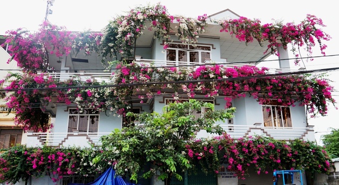 ngoi nha 3 tang phu day hoa giay o quang ngai
