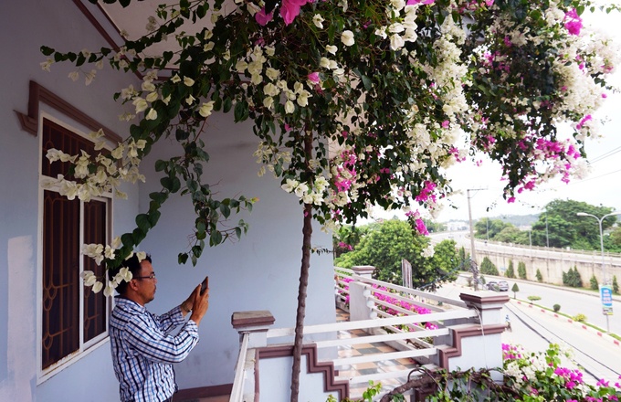 ngoi nha 3 tang phu day hoa giay o quang ngai