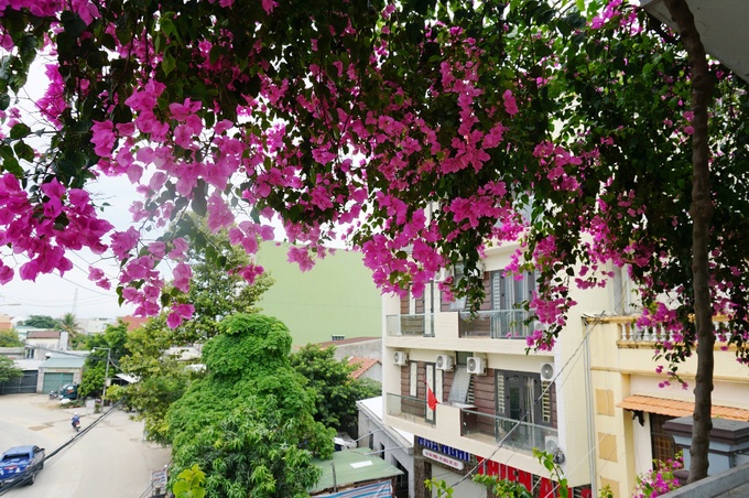 ngoi nha 3 tang phu day hoa giay o quang ngai