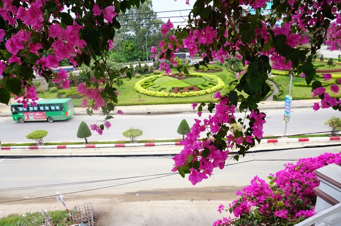 ngoi nha 3 tang phu day hoa giay o quang ngai