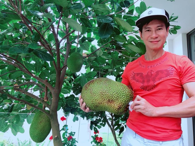 trai ngot sai triu trong khuon vien can biet thu cua ly hai minh ha