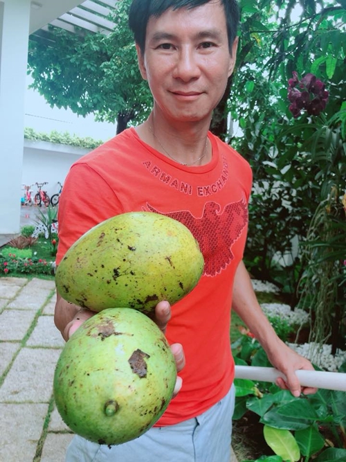 trai ngot sai triu trong khuon vien can biet thu cua ly hai minh ha