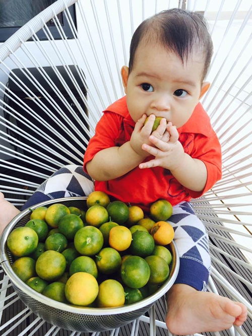 trai ngot sai triu trong khuon vien can biet thu cua ly hai minh ha