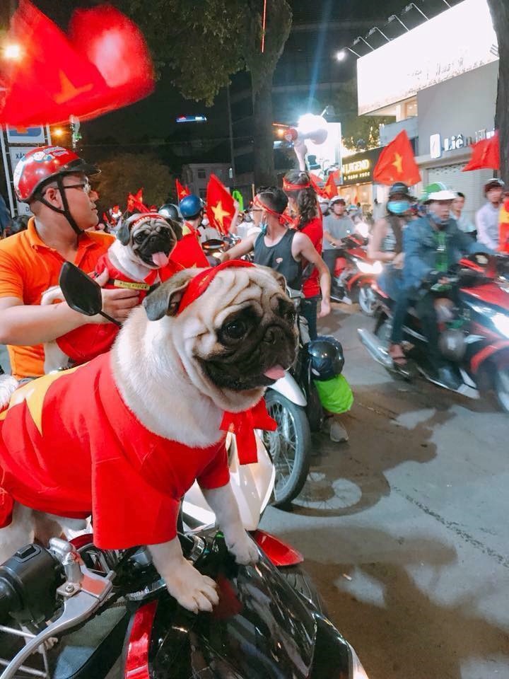 1001 cach co dong vien an mung chien thang cua olympic viet nam