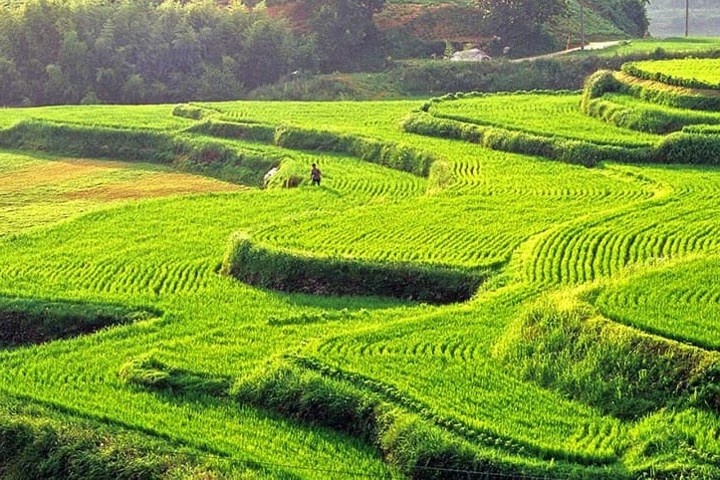 lang nguoi truoc canh dep han quoc dat nuoc so huu doi bong cuc manh