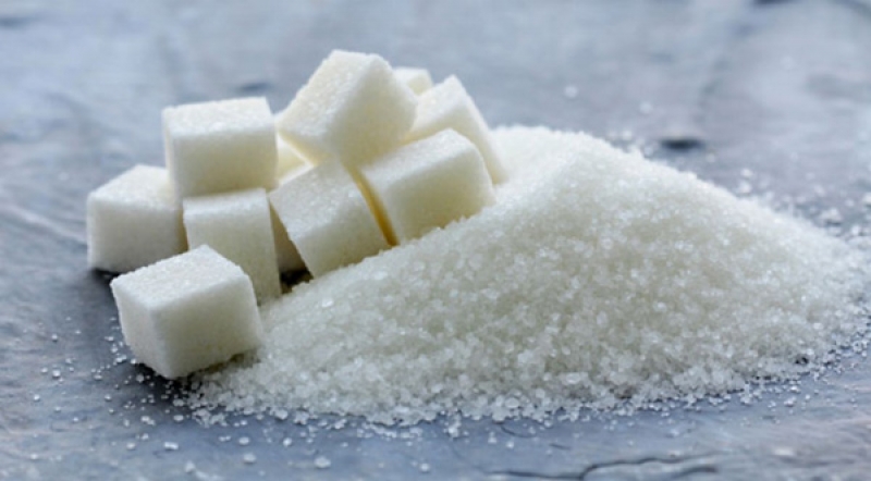 khong an thu nay te bao ung thu se bi tieu diet
