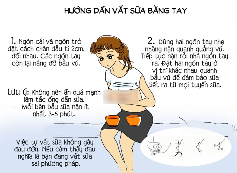 huong dan vat sua va bao quan sua me dung cach