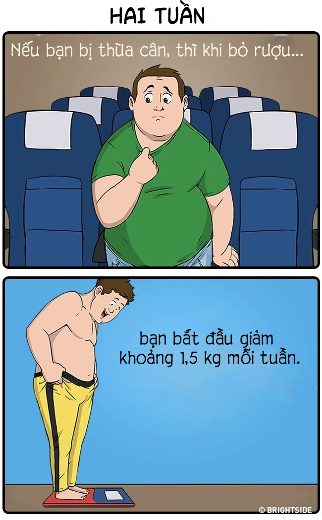 dieu gi xay ra voi co the khi ban bo ruou