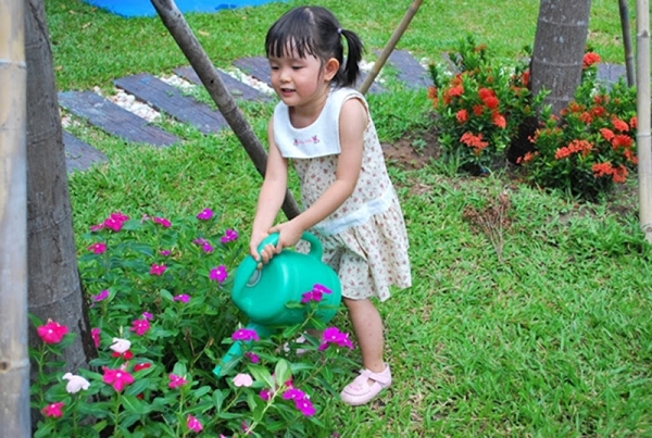 tam quen bai tap ve nha di hay day con nhung ki nang song nay