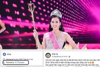 nhung nang a hau 2 noi bat o viet nam trong nhung nam gan day