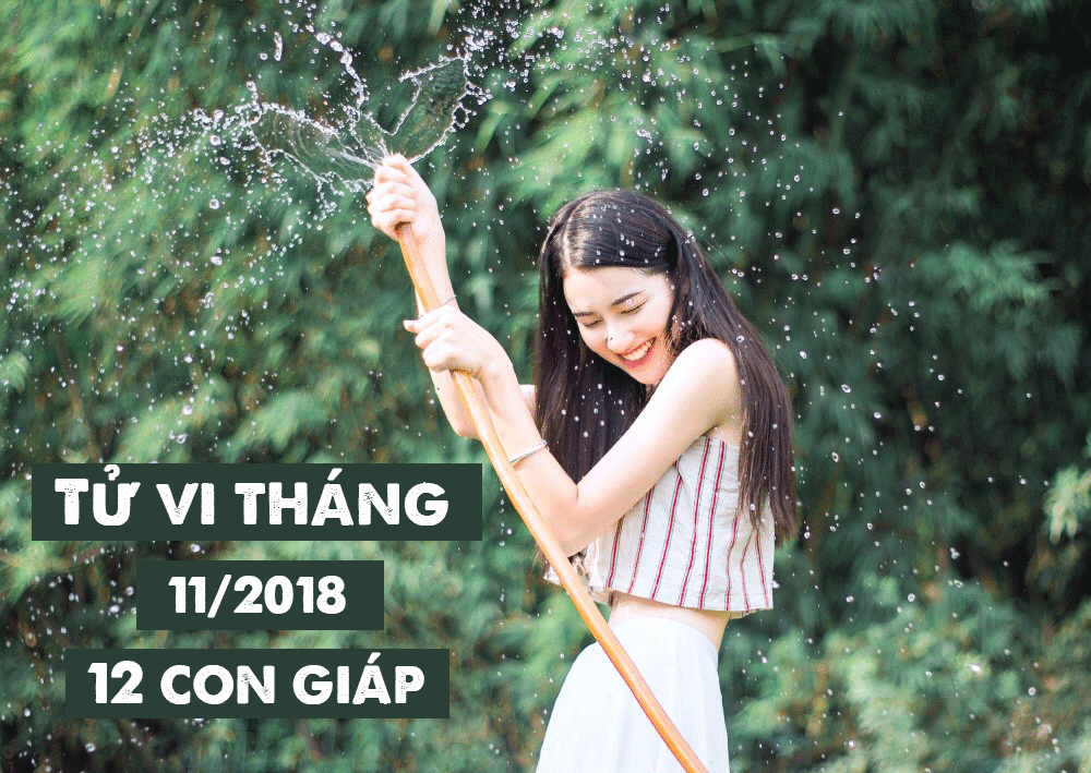 Tử vi tháng 11/2018 chi tiết của 12 con giáp: Tuổi Thìn trắc trở, tuổi Mùi thu nhập tăng tu vi thang 112018 chi tiet cua 12 con giap tuoi thin trac tro tuoi mui thu nhap tang