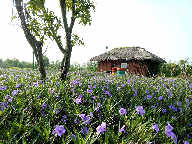 5 dia diem du lich moi tinh gioi tre dang san lung