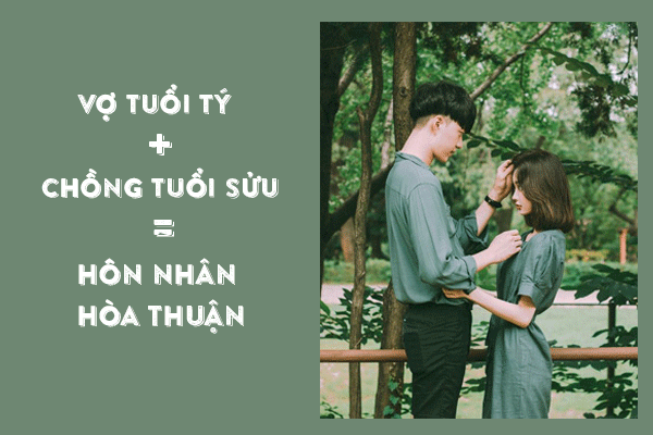 tu vi vo chong tuoi ty ket hop voi tuoi nao thi hon nhan hanh phuc tien tai rong mo