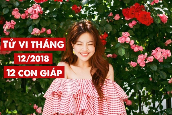 tu vi thang 122018 chi tiet cua 12 con giap