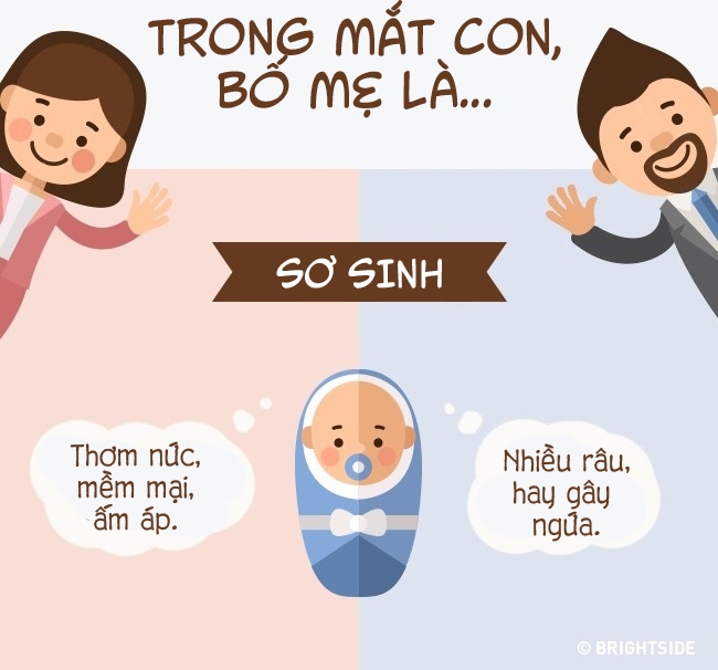 trong mat con bo me la