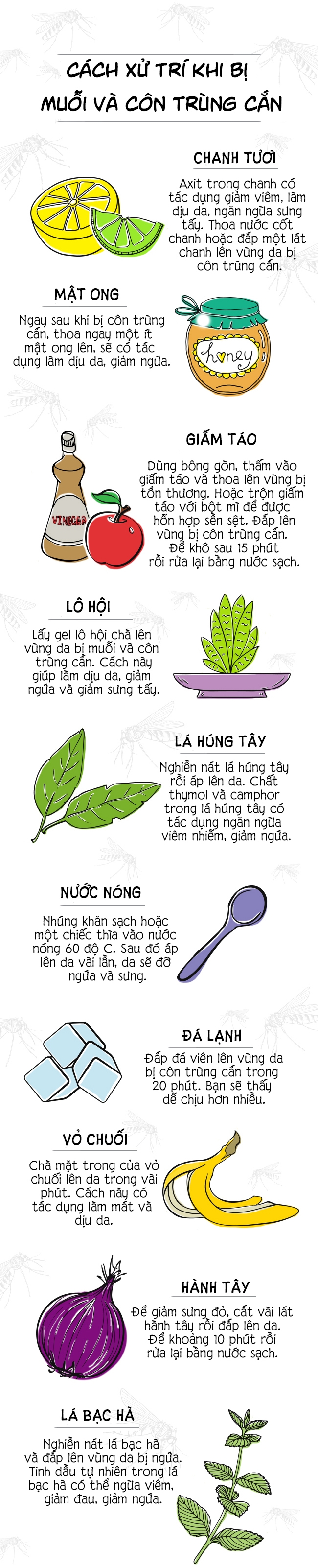 cach xu tri khi bi muoi dot va con trung can