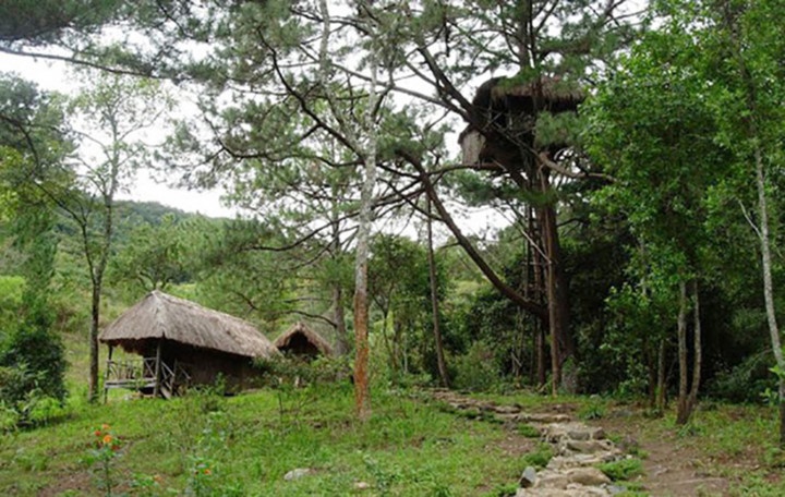 nhung ngoi nha tren cay doc nhat vo nhi o viet nam