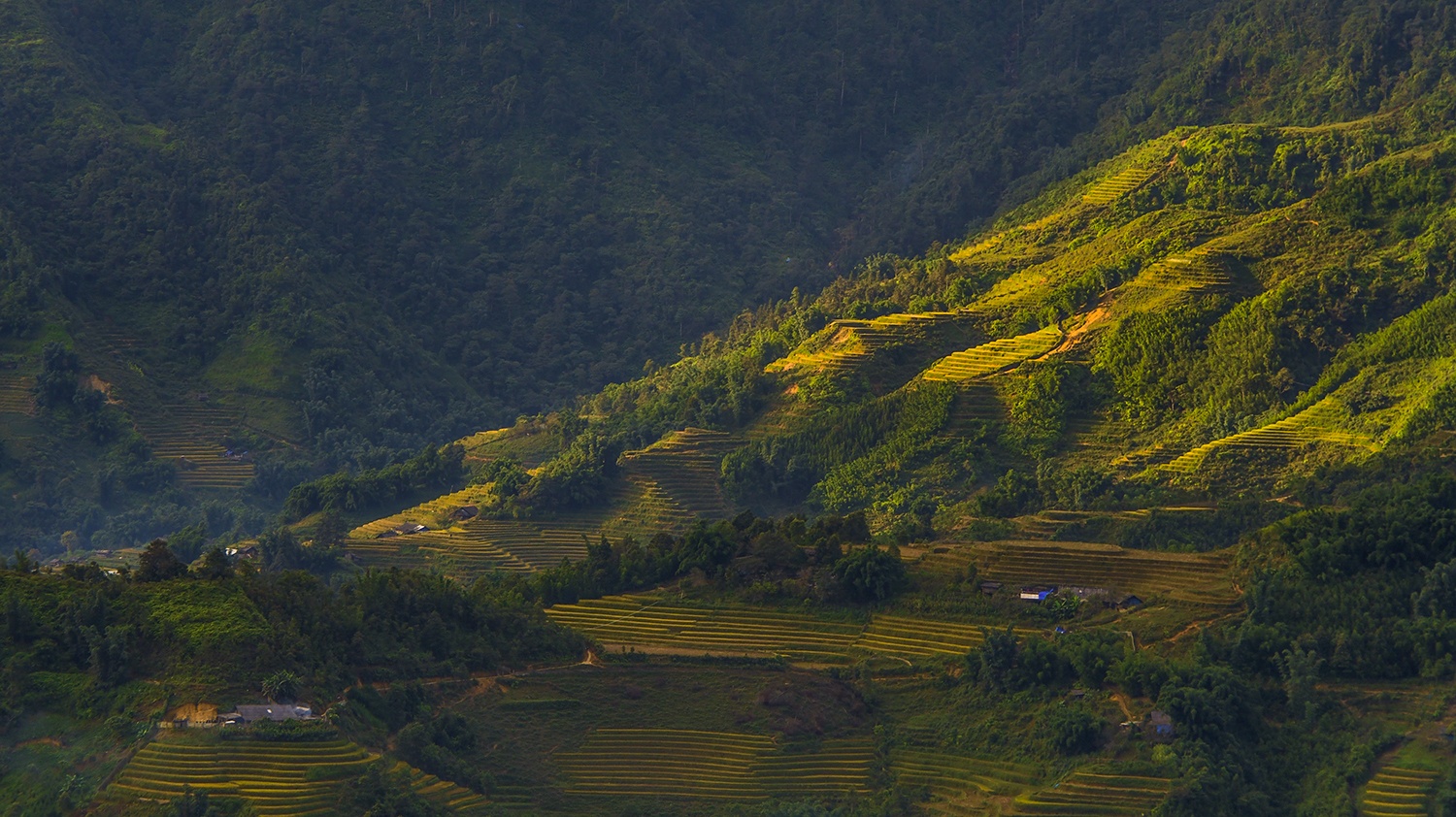 co gai tung ban rong o sa pa thanh nguoi truyen cam hung khap the gioi