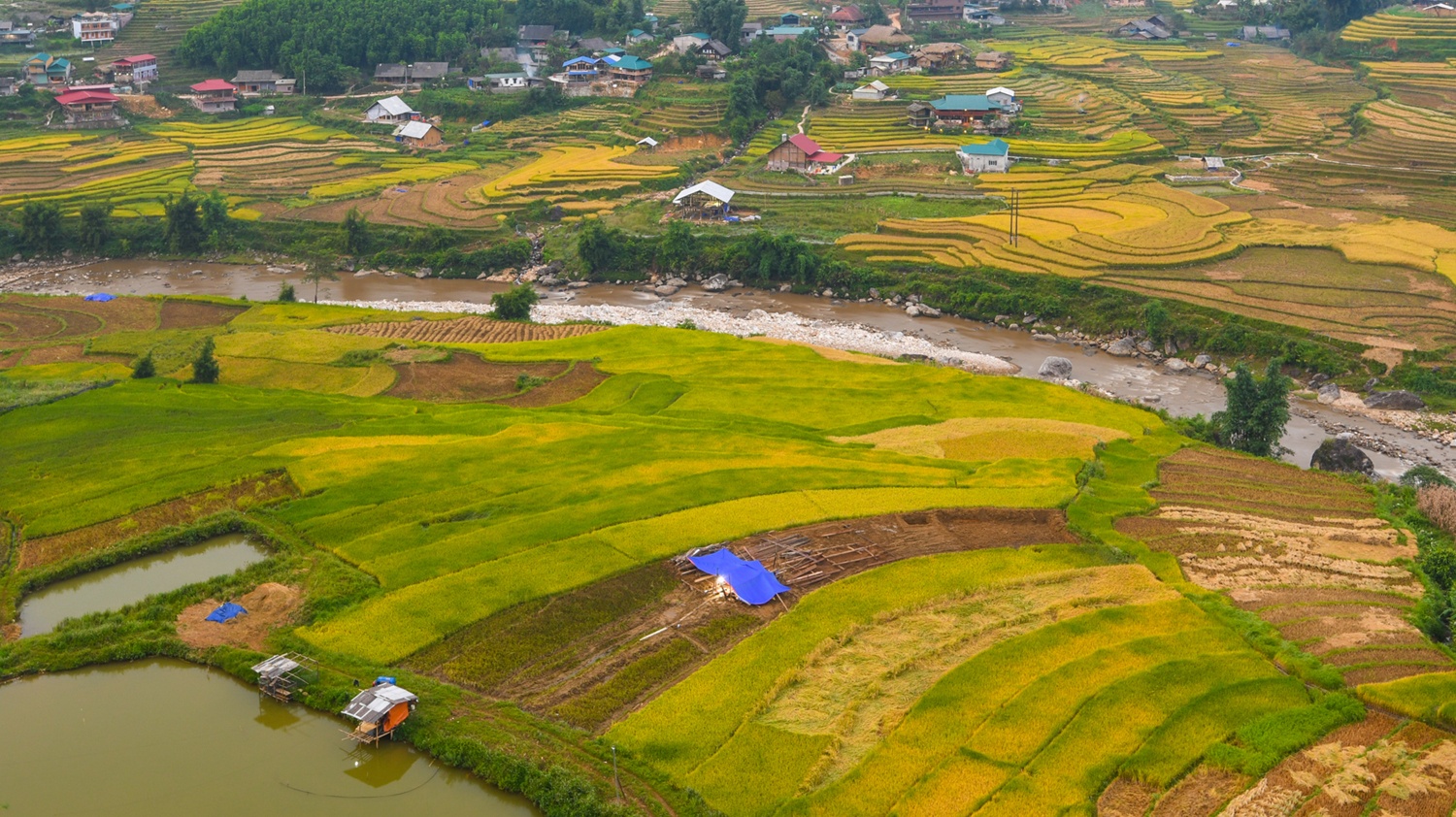 co gai tung ban rong o sa pa thanh nguoi truyen cam hung khap the gioi