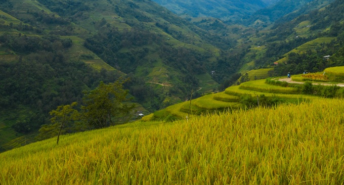 nhung dieu khach tay tuong va thuc te khi toi viet nam