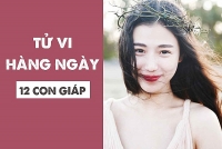 tu vi ngay mai 910 ve cong viec cua 12 con giap tuoi dan noi cau