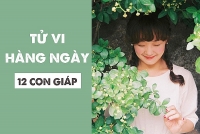 tu vi ngay mai 1110 ve cong viec cua 12 con giap tuoi thin gap thi phi