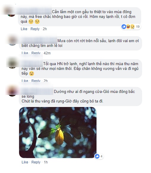 mien bac tro lanh nguoi co don mong co gau nguoi bong choc hoa nha tho