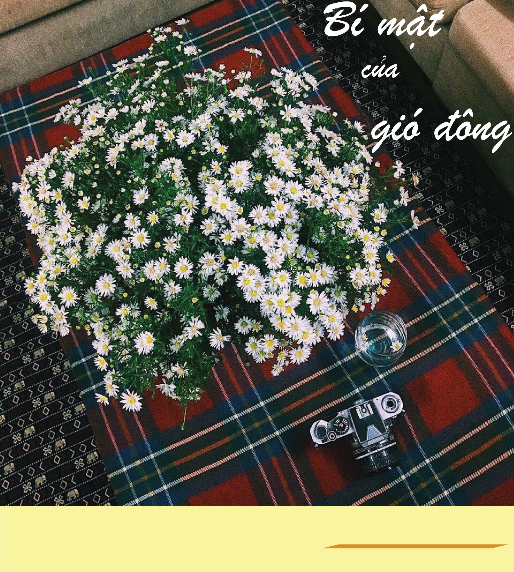thon thuc mua cuc hoa mi xuong pho goi gio dong ve