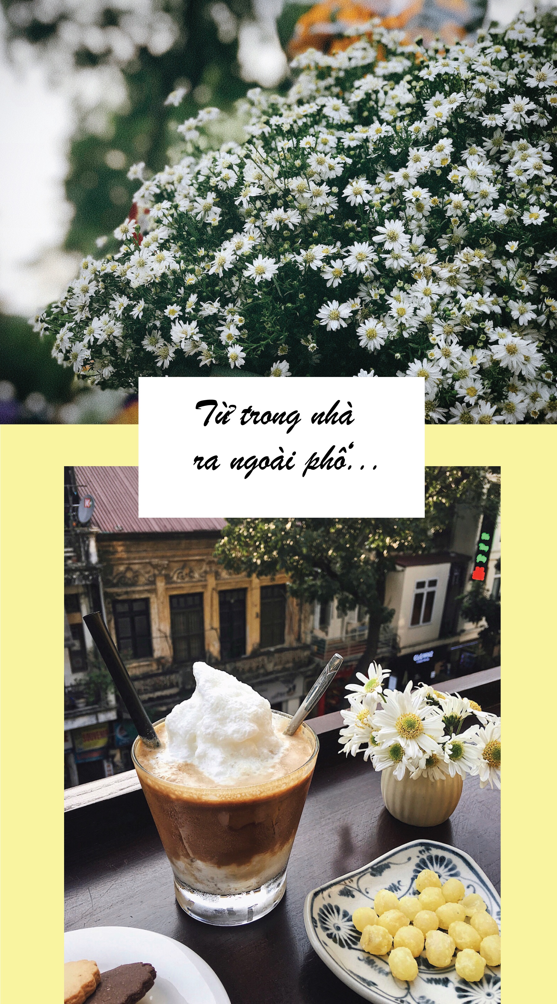 thon thuc mua cuc hoa mi xuong pho goi gio dong ve