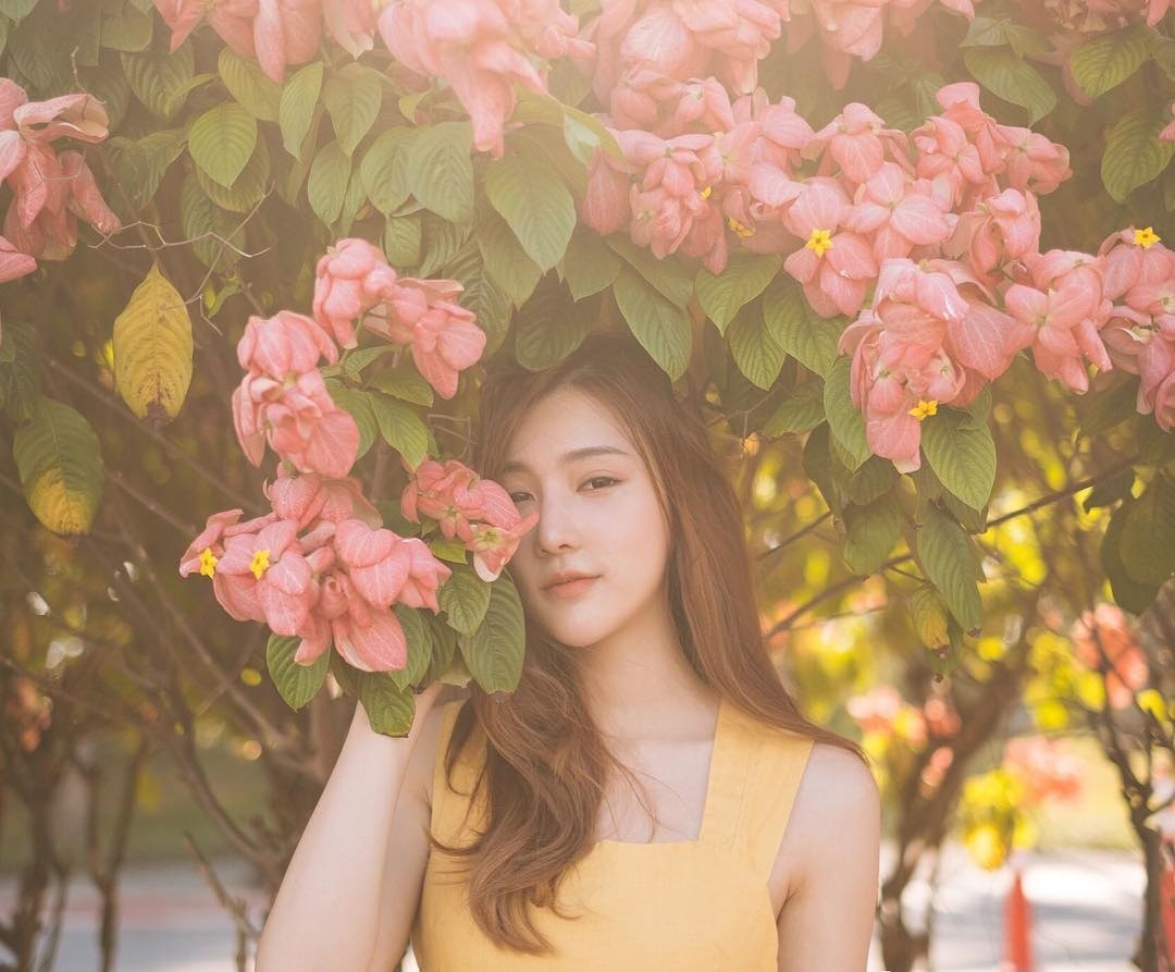 tu vi hang ngay 17102018 6 dieu nen va 6 dieu khong nen cua 12 con giap