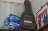 Chuyện tình trên căn gác nhỏ của cặp đôi phố cổ