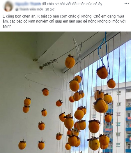 Bà nội trợ đua nhau khoe 'hồng treo gió' tự làm ngon hơn mua sẵn ba noi tro dua nhau khoe hong treo gio tu lam ngon hon mua san