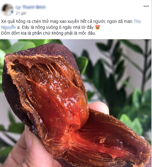 Bà nội trợ đua nhau khoe 'hồng treo gió' tự làm ngon hơn mua sẵn ba noi tro dua nhau khoe hong treo gio tu lam ngon hon mua san