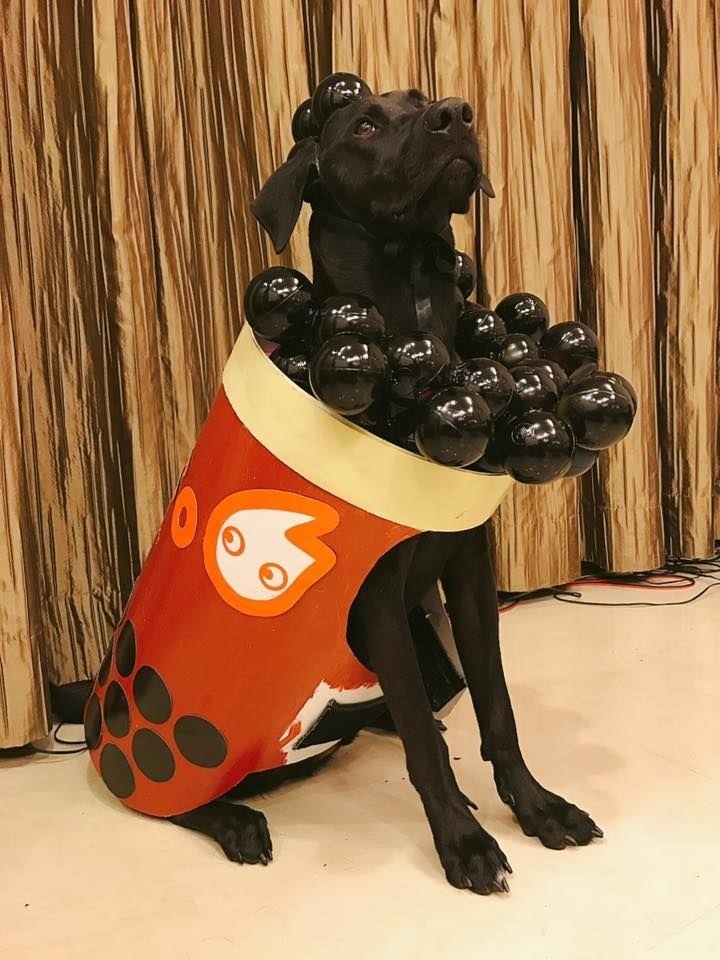 Halloween và những màn hóa trang cho trẻ nhỏ 'đỉnh' nhất từ trước đến giờ halloween va nhung man hoa trang cho tre nho dinh nhat tu truoc den gio