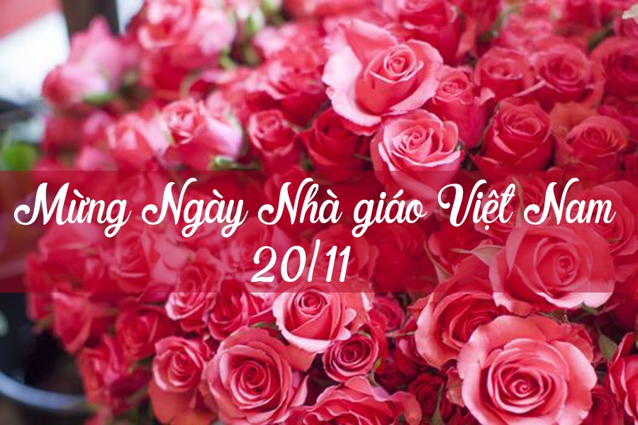 loi chuc 2011 y nghia va doc dao danh tang thay co ngay nha giao viet nam