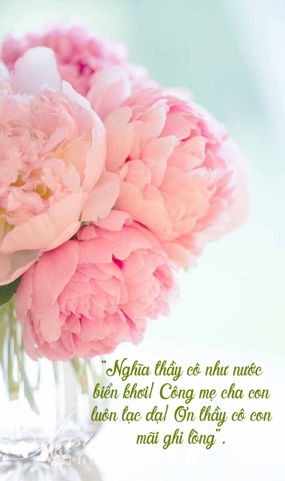 loi chuc 2011 y nghia va doc dao danh tang thay co ngay nha giao viet nam