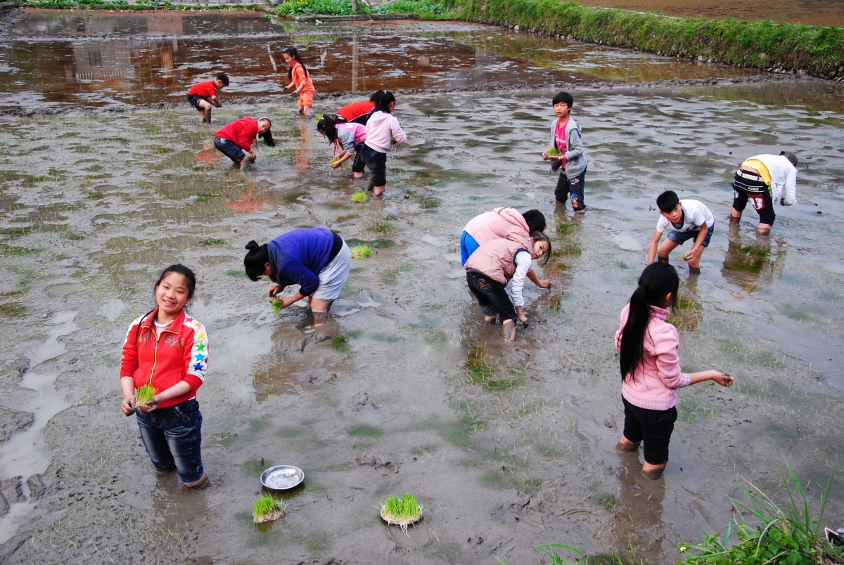 Trẻ nông thôn 'sướng' hơn trẻ thành phố ra sao? tre nong thon suong hon tre thanh pho ra sao