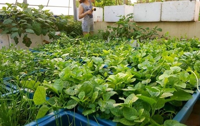 ba me hai con o hung yen thu hang ta nong pham tu vuon rau san thuong 40 m2