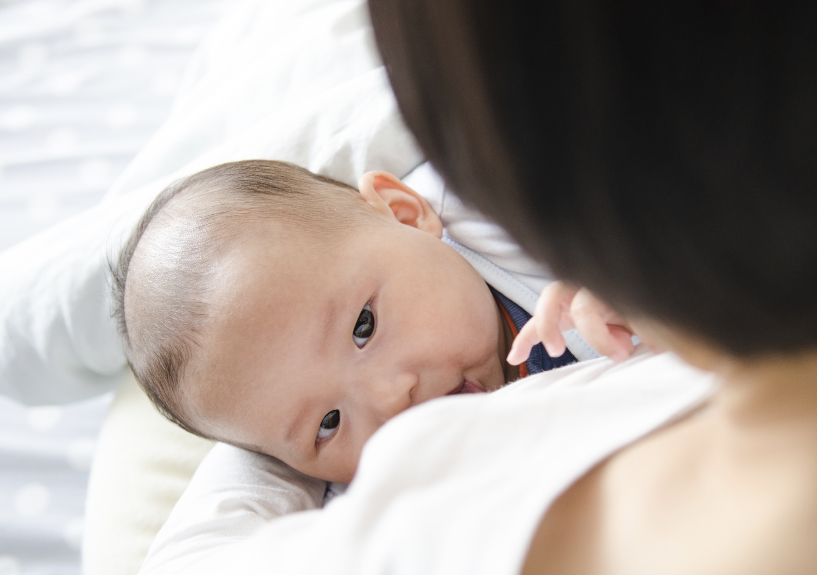 Nếu không dùng sữa bò, thì cho con ăn gì để thu nạp được canxi? neu khong dung sua bo thi cho con an gi de thu nap duoc canxi