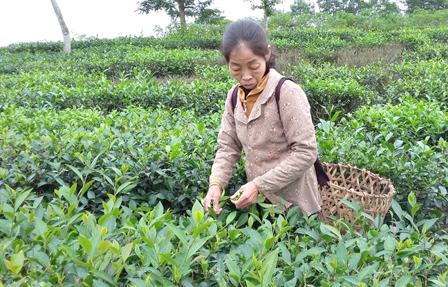 Chuyện ‘bánh đúc có xương’ về người phụ nữ chăm nuôi 8 con riêng của chồng chuyen banh duc co xuong ve nguoi phu nu cham nuoi 8 con rieng cua chong