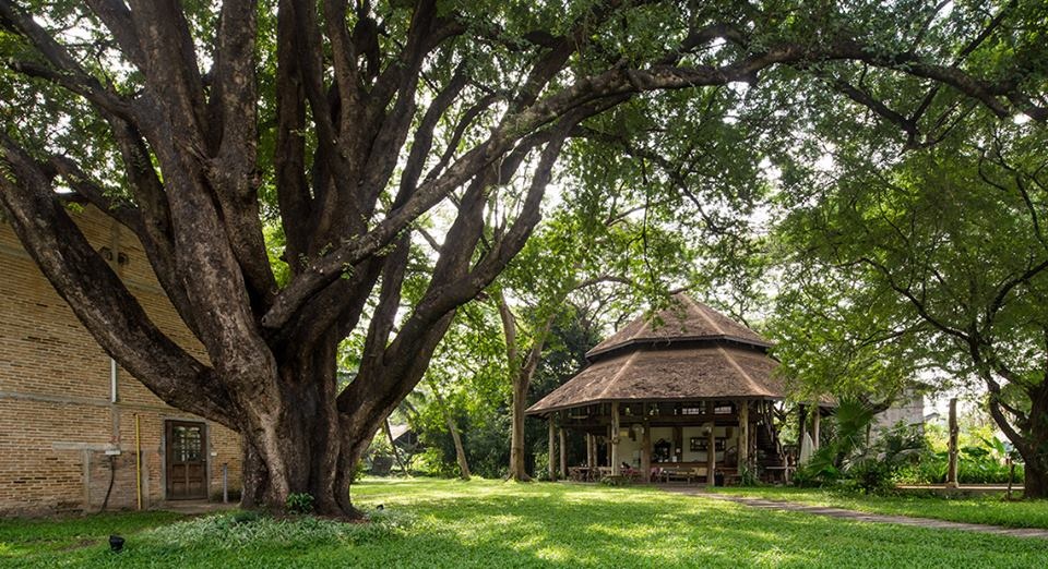 mc minh trang chia se top dia diem nhat dinh phai den o chiangmai thai lan cho gia dinh co tre nho