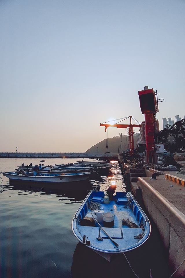 kham pha mua thu busan dep lim tim trong 3 ngay 2 dem chi voi 43 trieu dong