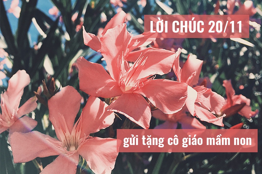 loi chuc 2011 y nghia va an tuong nhat danh tang co giao mam non
