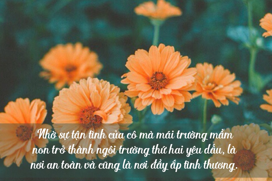 loi chuc 2011 y nghia va an tuong nhat danh tang co giao mam non